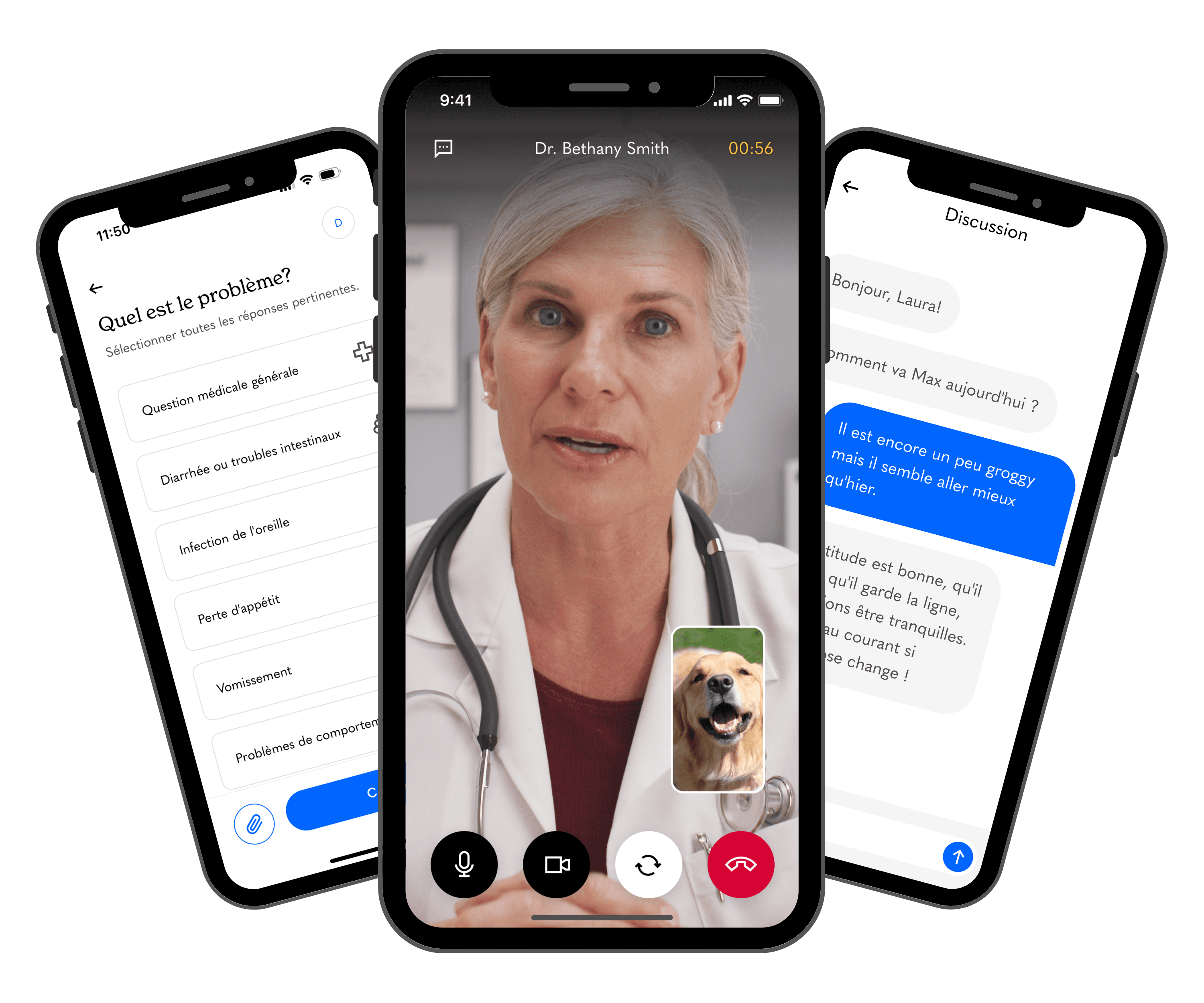 Aider les chiens grâce à la télésanté pour animaux