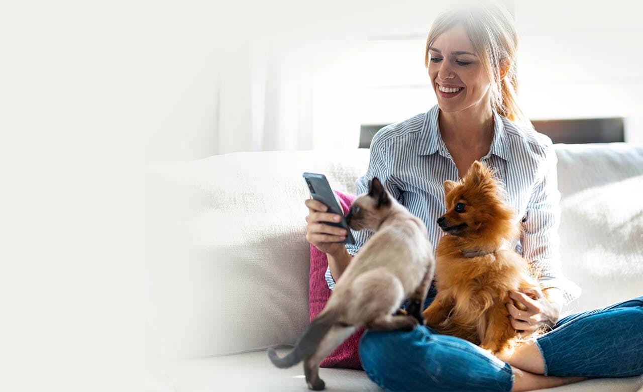 Woman using pet telehealth care through video and chat